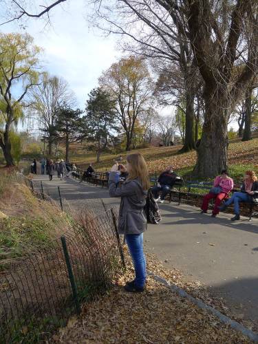 USA_2011-11-20 12-32-07